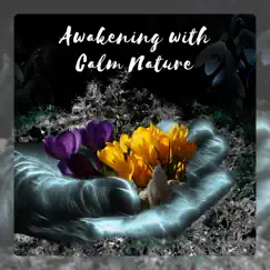 Awakening with Calm Nature: Soothing Alarm Clock Sounds, Relaxation at Morning, Boost Your Day by Sauna Spa Paradise album reviews, ratings, credits