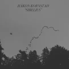 Sibelius - Single by Håkon Kornstad album reviews, ratings, credits