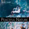 Water Planet - Water Relaxation Sounds album lyrics, reviews, download