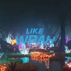 Like Woah (feat. Adrian Adijaya) Song Lyrics