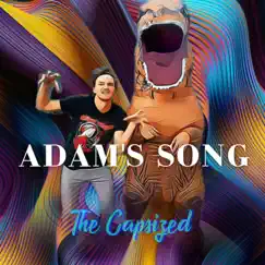 Adam's Song Song Lyrics