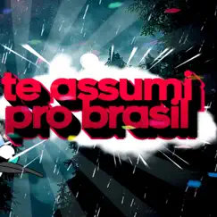 Te Assumi Pro Brasil (Funk Remix) - Single by Dj Samir, Sr. Nescau & Dj David MM album reviews, ratings, credits