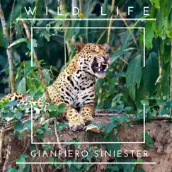 Wild Life - Single by GianPiero Siniester album reviews, ratings, credits