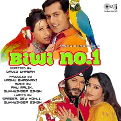 Biwi No. 1 (Original Motion Picture Soundtrack) by Anu Malik & Sukhwinder Singh album reviews, ratings, credits