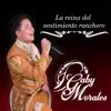 Aires Del Mayab - Single album lyrics, reviews, download