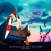 Happy Together (VIZE Remix) song lyrics