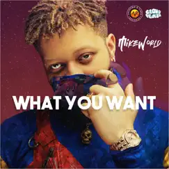 What You Want - Single by Mike World album reviews, ratings, credits