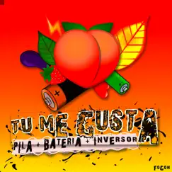 Tu Me Gusta Pila Batería Inversor Song Lyrics