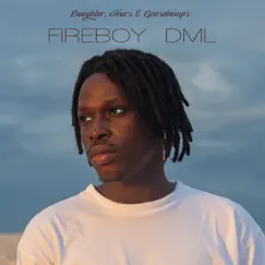 Laughter, Tears & Goosebumps by Fireboy DML album reviews, ratings, credits