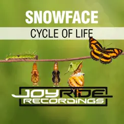 Cycle of Life (Extended Mix) Song Lyrics