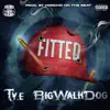 Fitted (feat. BigWalkDog) - Single album lyrics, reviews, download
