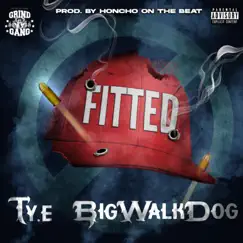 Fitted (feat. BigWalkDog) - Single by TY.E album reviews, ratings, credits