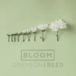 Bloom (Radio Version) Song Lyrics