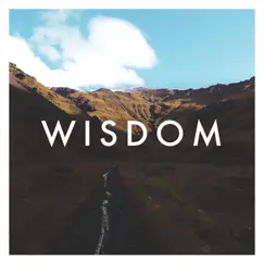 Wisdom - Single by Two Floors album reviews, ratings, credits