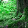 Forest Walker album lyrics, reviews, download