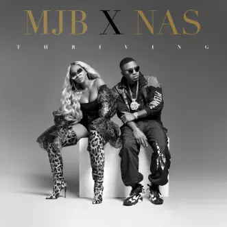 Download Thriving (feat. Nas) Mary J. Blige MP3