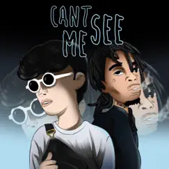 Can't See Me (feat. Freshie) Song Lyrics