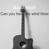 Can You Hear the Wind Blow - Single album lyrics, reviews, download