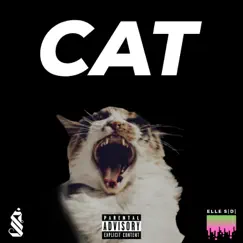 CAT (feat. Slawder) Song Lyrics