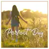 Perfect Day - Single album lyrics, reviews, download