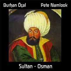 Bir Çalgiyim Gögsüne Yaslanmis (Part V) Song Lyrics