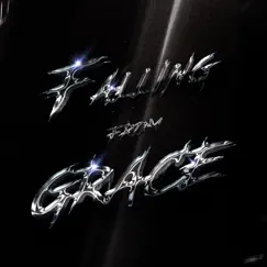 Falling from Grace (NAKED KOALA Remix) Song Lyrics