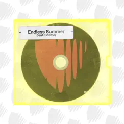 Endless Summer - Single by Legion Beats album reviews, ratings, credits