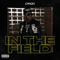 In the Field - Single by Cinqo album reviews, ratings, credits