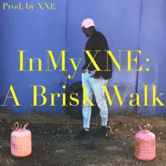 InMyXNE: A Brisk Walk Song Lyrics