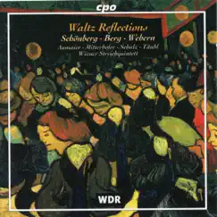 Waltz Reflections by Vienna String Quintet & Leonore Aumaier album reviews, ratings, credits