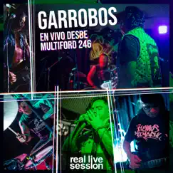 Garrobos en vivo desde Multiforo 246 by Garrobos album reviews, ratings, credits