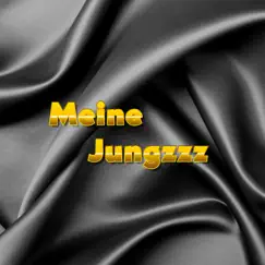 Meine Jungzzz (feat. Henk) - Single by Bendix album reviews, ratings, credits