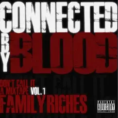 Don't Call It a Mixtape, Vol. 1 (Family Riches) by Connected by Blood album reviews, ratings, credits