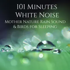 101 Minutes White Noise Mother Nature Rain Sound & Birds for Sleeping by Time for Healing album reviews, ratings, credits