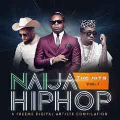 Naija Hiphop: The Hits, Vol. 1 by Various Artists album reviews, ratings, credits