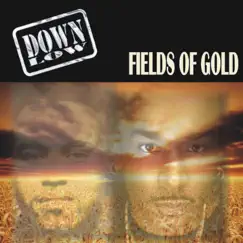 Fields of Gold - Single by Down Low album reviews, ratings, credits