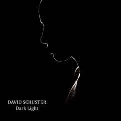 Dark Light - Single by David Schuster album reviews, ratings, credits