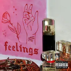 Feelings - Single by RealNamePryncess album reviews, ratings, credits
