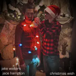 Christmas Wish Song Lyrics