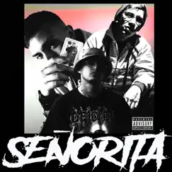 Señorita - Single by Math & Many & Flaya Styla album reviews, ratings, credits