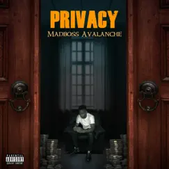 Privacy - Single by MadBoss Avalanche album reviews, ratings, credits