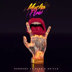 Mucho Flow (feat. Play-N-Skillz) - Single by Gudnana album reviews, ratings, credits