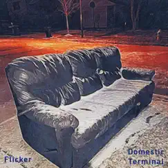 Flicker - Single by Domestic Terminal album reviews, ratings, credits