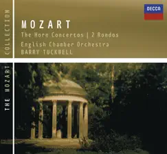 Horn Concerto No. 2 in E-Flat, K. 417: II. Andante Song Lyrics