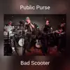 Public Purse - Single album lyrics, reviews, download