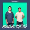 Meantime (Remixes) - Single album lyrics, reviews, download