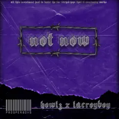 Not Now (feat. Lacroyboy) Song Lyrics