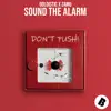 Sound the Alarm - Single album lyrics, reviews, download