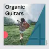 Organic Guitars, Vol. 4 album lyrics, reviews, download