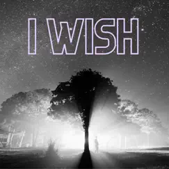 I Wish by Stardust at 432Hz album reviews, ratings, credits